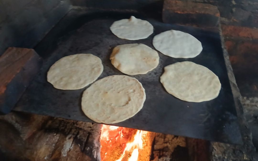 La libra de maíz sube a 20 córdobas y amenaza con encarecer la tortilla