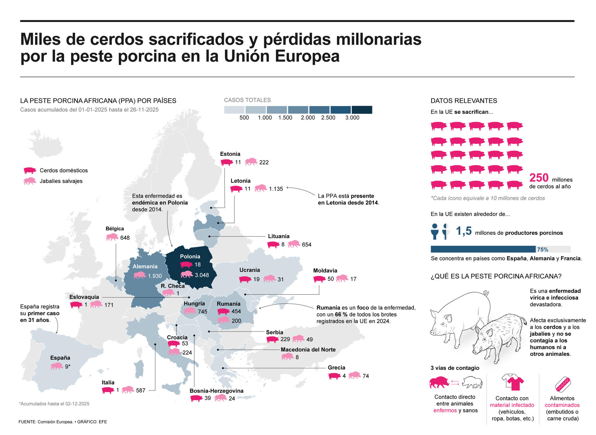 Miles de cerdos sacrificados y pérdidas millonarias por la peste porcina en la UE